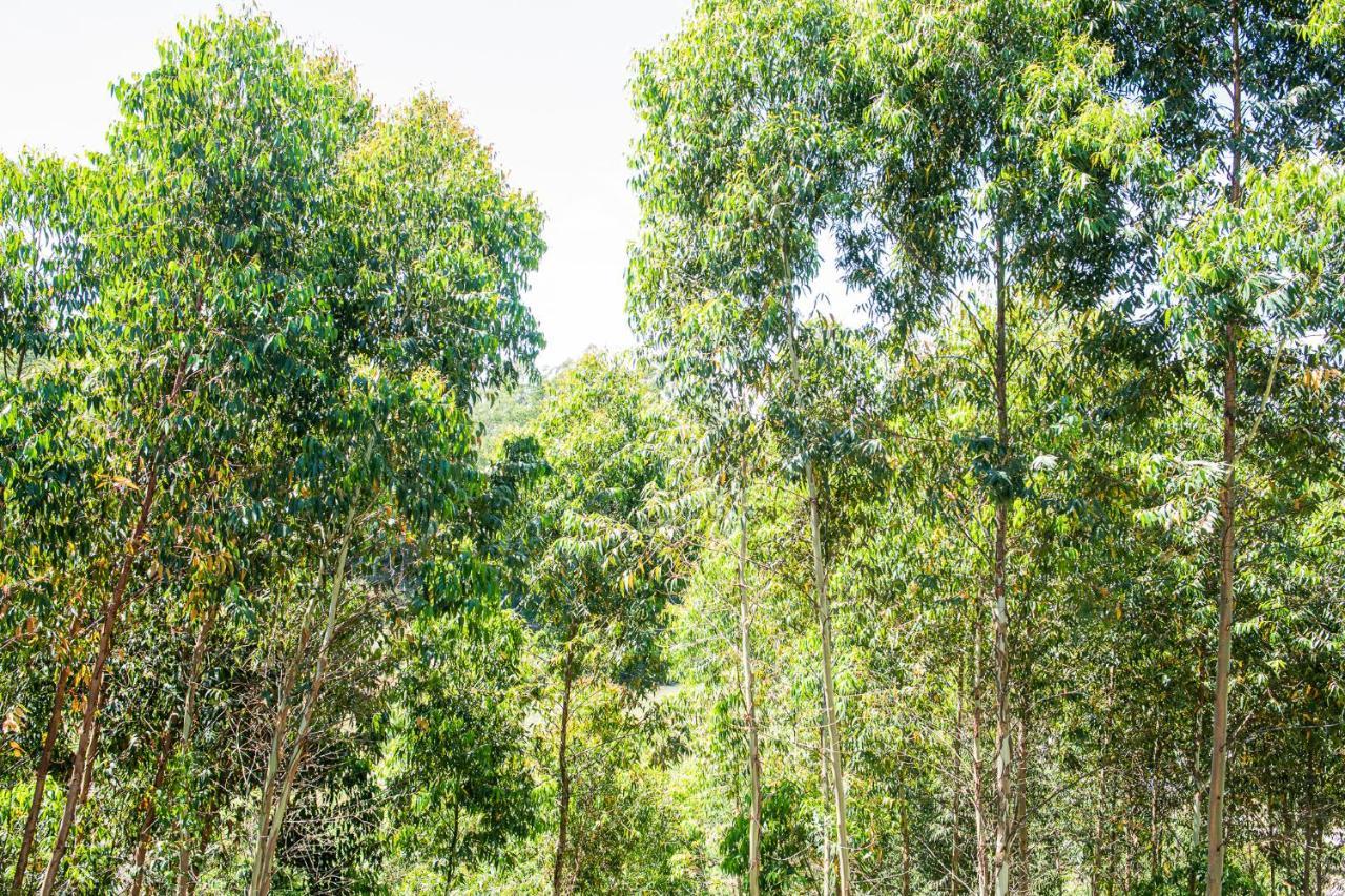 Casa Container Figo Em Meio A Natureza Na Serra Gaucha Flores da Cunha Exterior photo